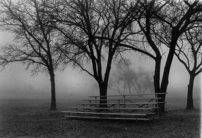 Bleachers
